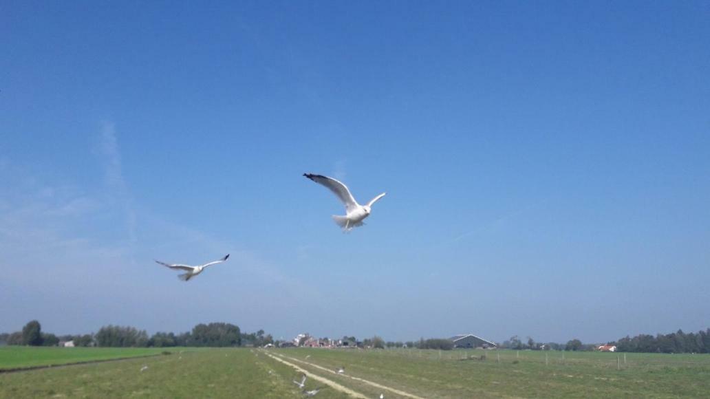 Bedstay41 Oudewater ภายนอก รูปภาพ