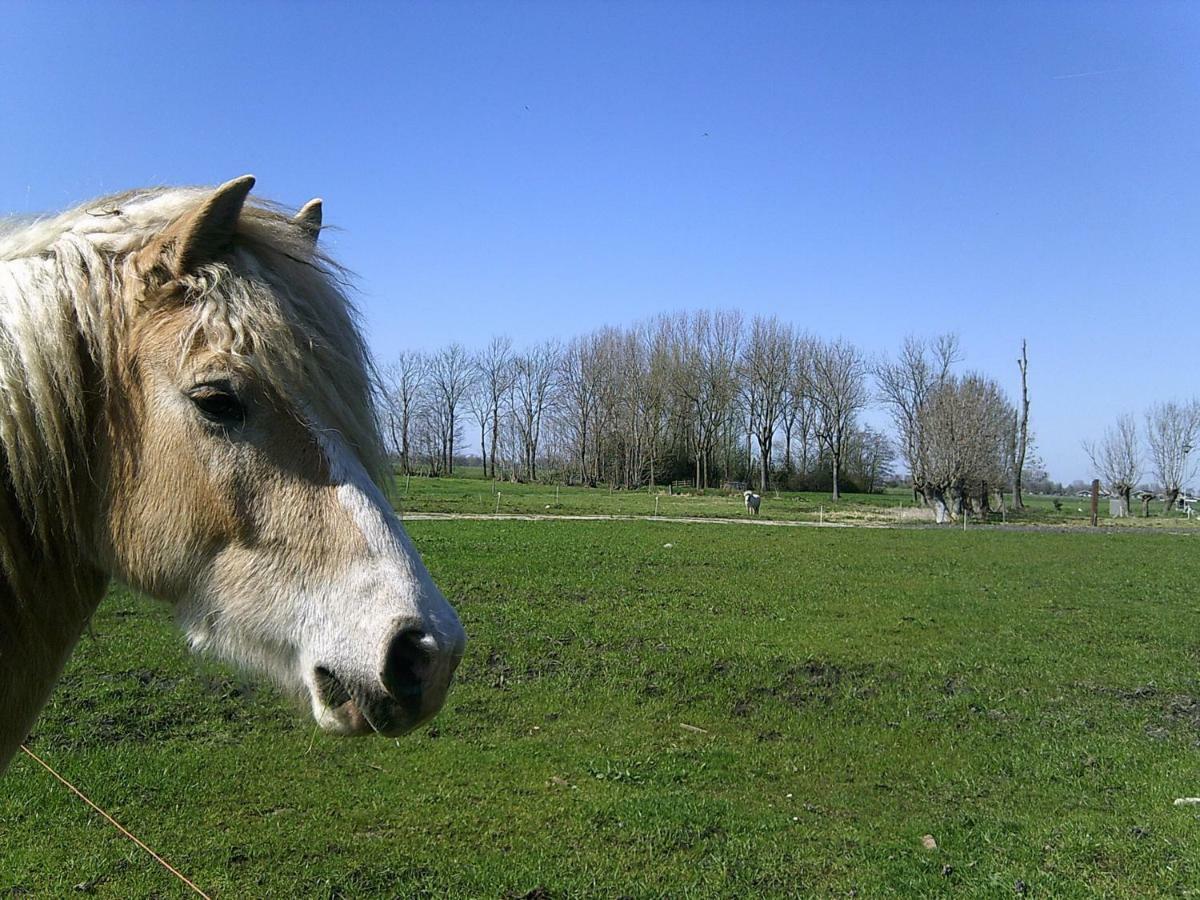 Bedstay41 Oudewater ภายนอก รูปภาพ